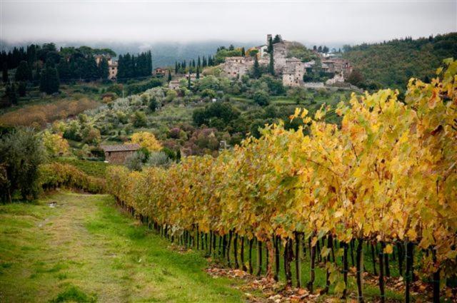 Agriturismo Podere Torre Greve in Chianti Zewnętrze zdjęcie