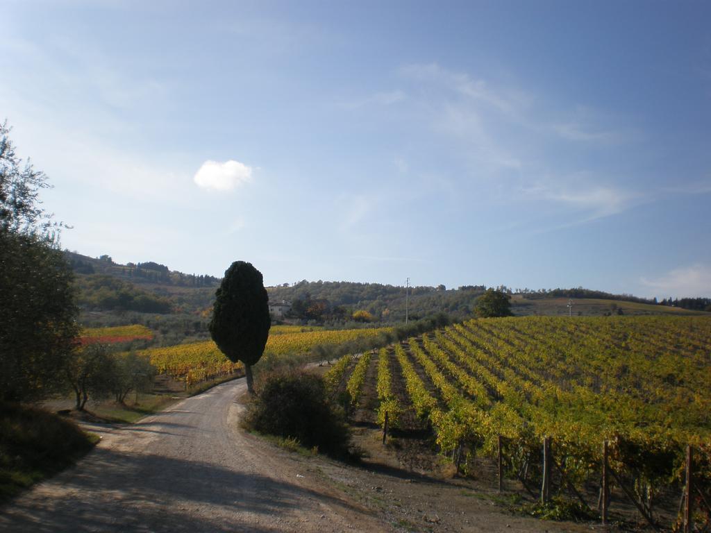 Agriturismo Podere Torre Greve in Chianti Zewnętrze zdjęcie
